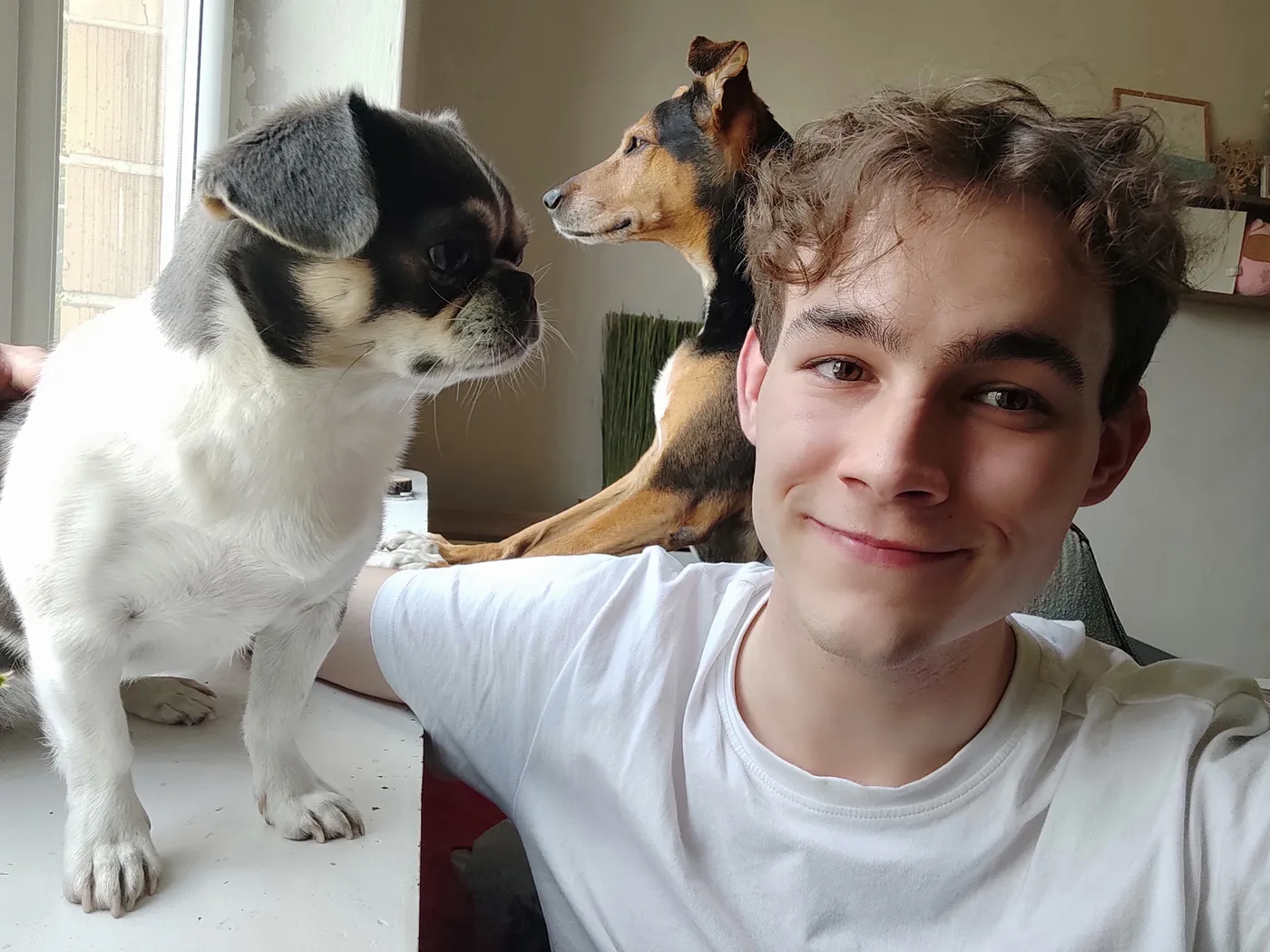 Marcin Firmuga at home with his two dogs by the window